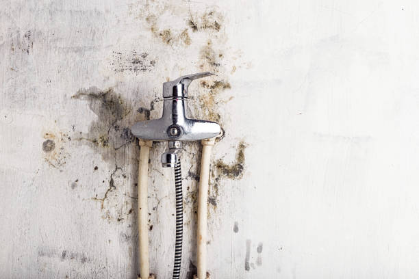 Best Water Damage Restoration  in West Tawakoni, TX