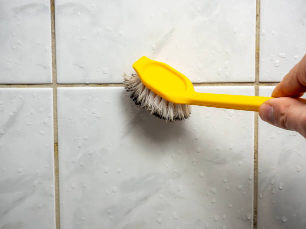 Best Residential Mold Removal  in West Tawakoni, TX