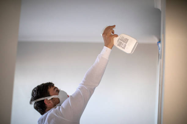 Best Fast Mold Removal  in West Tawakoni, TX