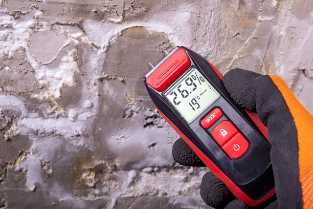 Best Attic Mold Removal  in West Tawakoni, TX